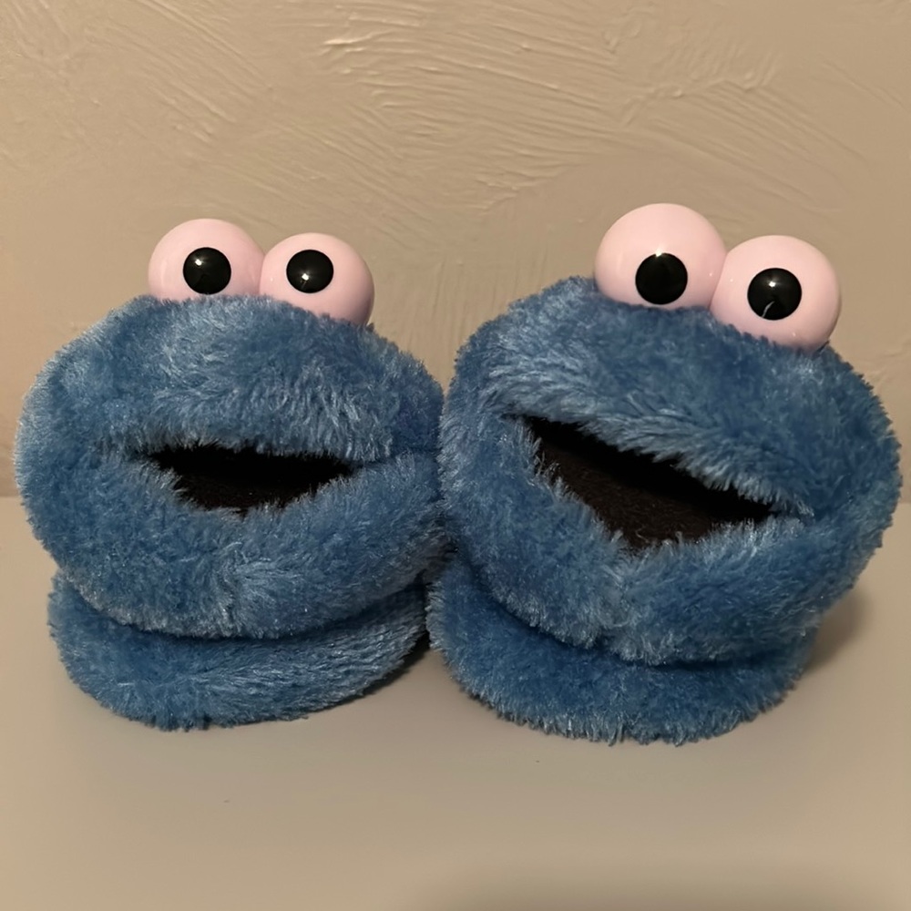 Cookie Monster Slipper